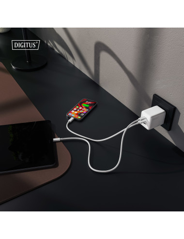 Digitus Battery charger, 100W | DA-10304