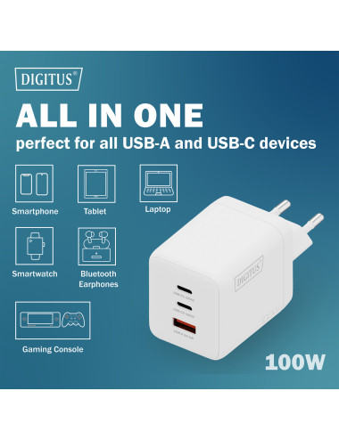 Digitus Battery charger, 100W | DA-10304