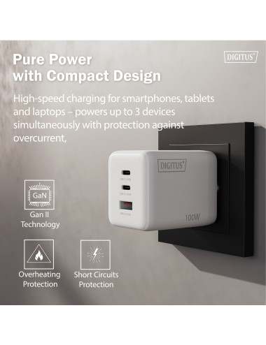Digitus Battery charger, 100W | DA-10304