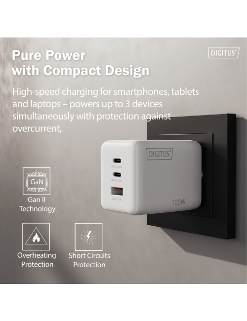 Digitus Battery charger, 100W | DA-10304