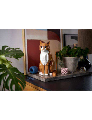 LEGO IDEAS 21376 Orange Cat