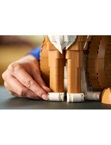 LEGO IDEAS 21376 Orange Cat