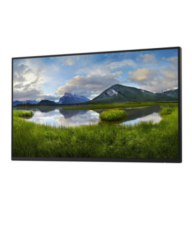 DELL Pro Plus P2425HE_WOST...