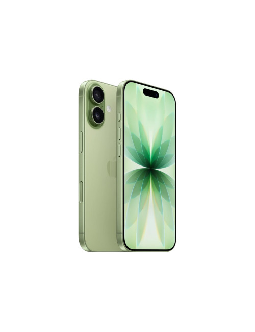 Apple | iPhone 17 | Sage | 6.3 " | 2622 x 1206 pixels | OLED | A19 | Internal RAM 8 GB | 256 GB | Dual SIM | Nano SIM | 5G | Mai