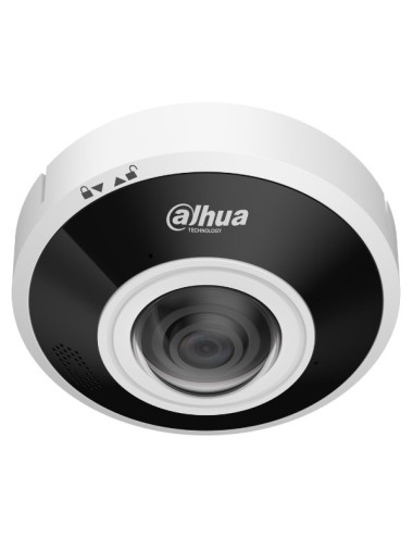 DAHUA IPC-EBW5641-AS camera