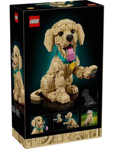 LEGO ICONS 11384 Golden...