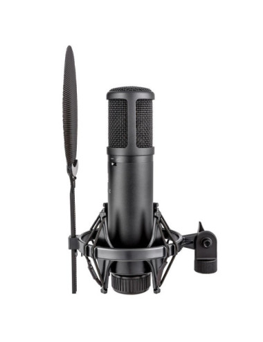 sE Electronics sE2200 Black...