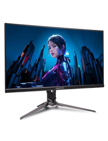 Acer Predator UM.HX3EE.501...