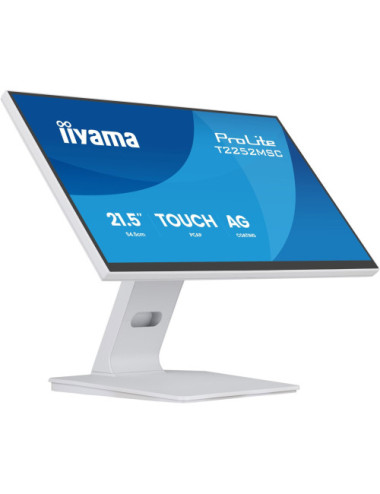 iiyama ProLite...