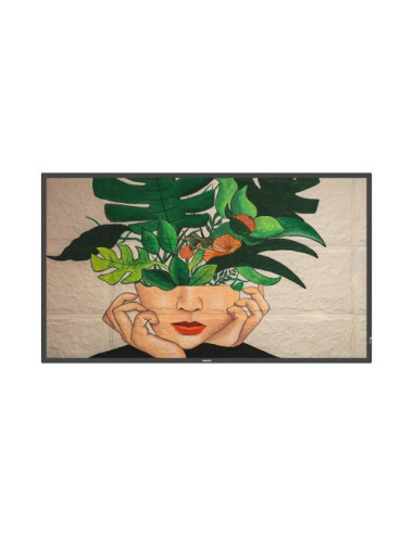 Philips 43BDL4511D/00...