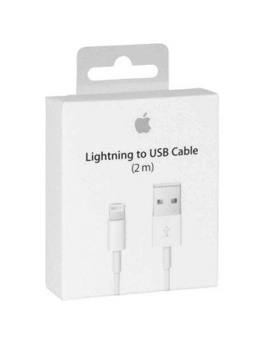 Apple Lightning to USB...