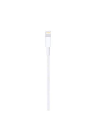 Apple Lightning to USB...