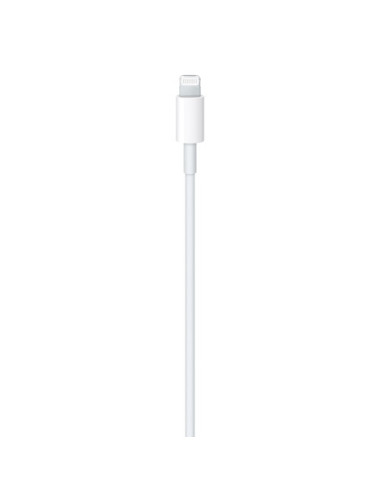 Apple USB-C to Lightning...