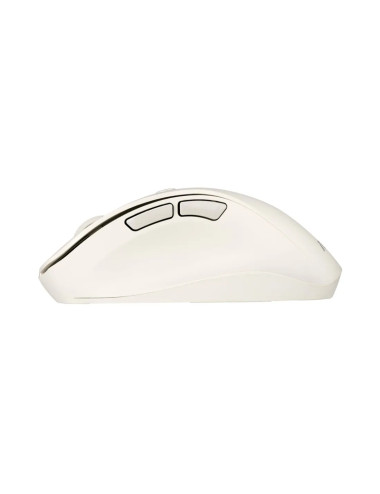 Asus Mouse | MD105 | Wireless | Bluetooth, 2.4GHz | Milky White