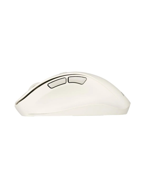 Asus Mouse | MD105 | Wireless | Bluetooth, 2.4GHz | Milky White