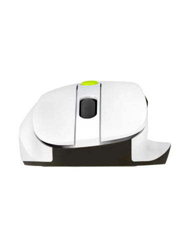 Asus Mouse | MD105 | Wireless | Bluetooth, 2.4GHz | Volt Green