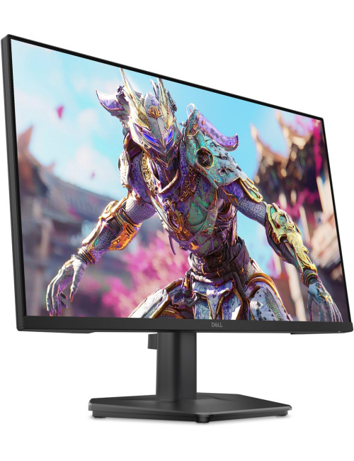 DELL SE2426HG computer...