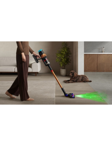 Dyson V16 Piston Animal...