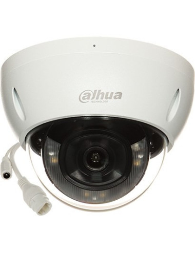 Vandal-resistant IP camera...