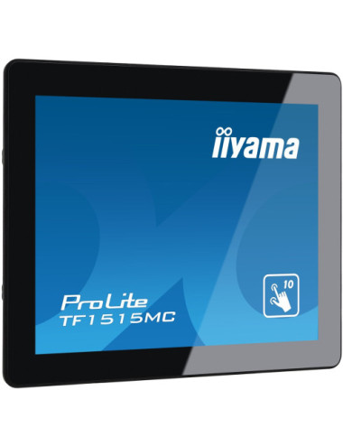 IIYAMA 38.0cm (15")...