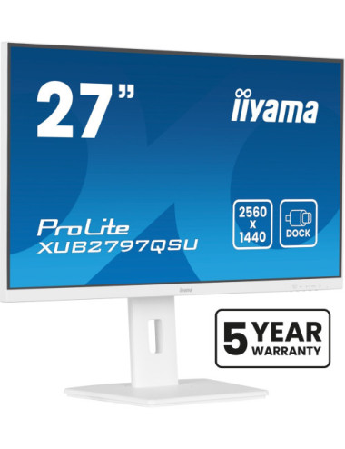 iiyama ProLite...
