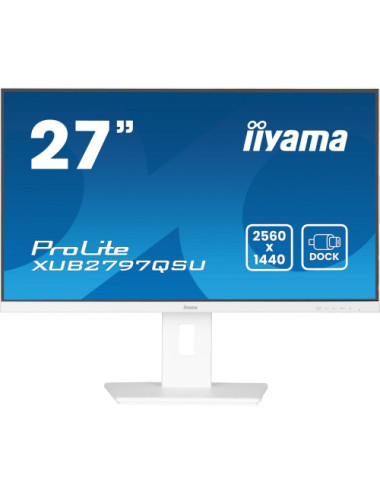 iiyama ProLite...