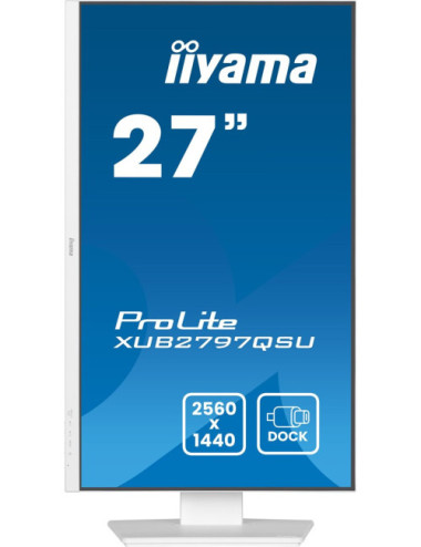 iiyama ProLite...