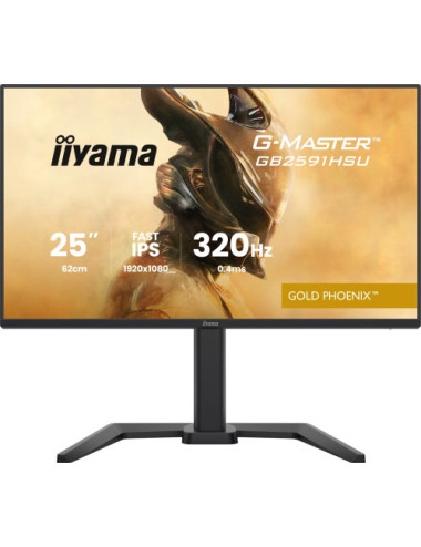 IIYAMA 62.0cm (24,5")...
