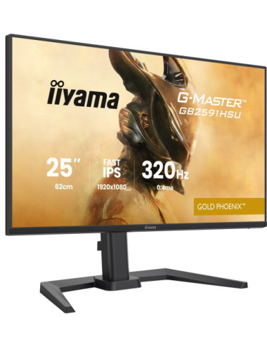 IIYAMA 62.0cm (24,5")...