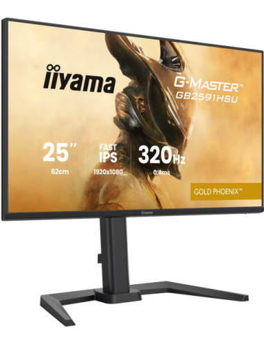 IIYAMA 62.0cm (24,5")...