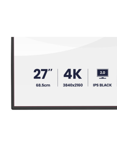 iiyama PROGRAPHIC...