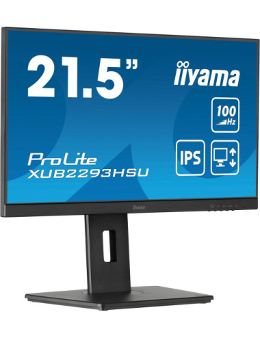 iiyama ProLite 21.5” IPS...