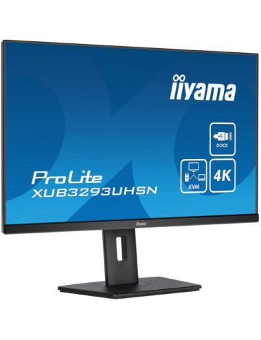 iiyama ProLite...