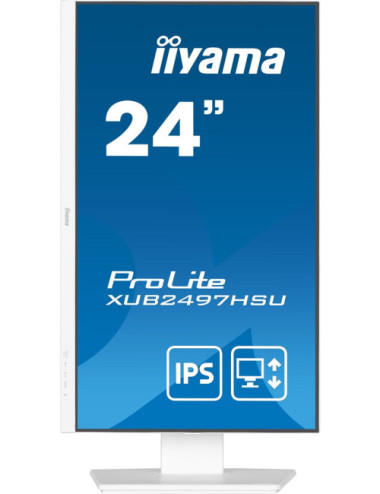 iiyama ProLite...