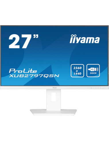 iiyama G-MASTER...