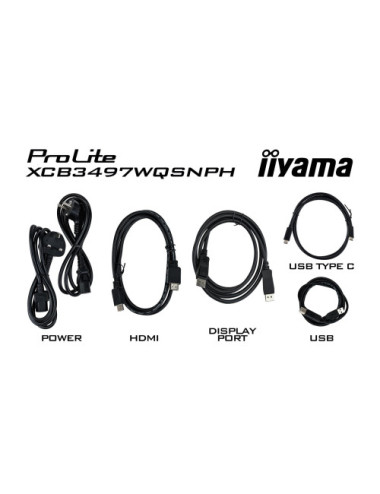 iiyama ProLite...