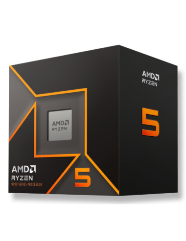 AMD Ryzen 5 9600 processor...