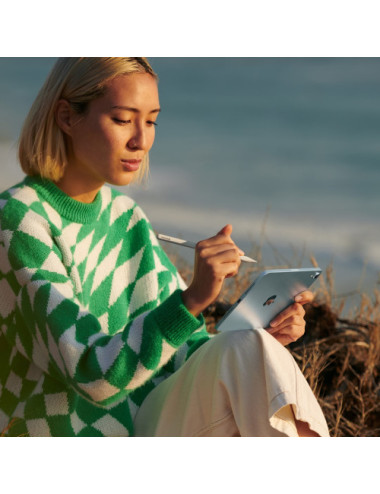 Apple iPad mini Wi-Fi 512GB...