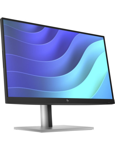 HP E-Series E22 G5 FHD Monitor