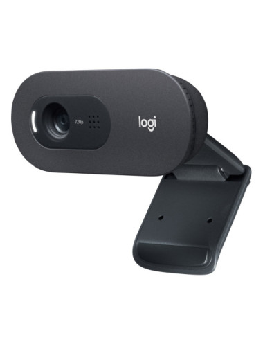 Logitech C505e