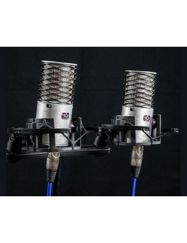 Aston Microphones Origin...