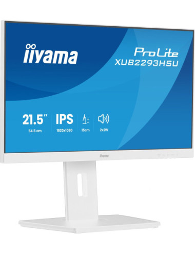 Monitor Iiyama TFT...