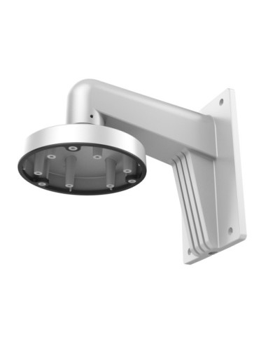 LevelOne Wall Mount...