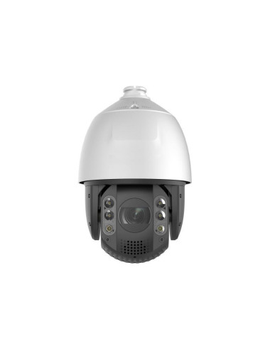 LevelOne FCS-4072 GEMINI...