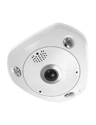 Dome camera fisheye...