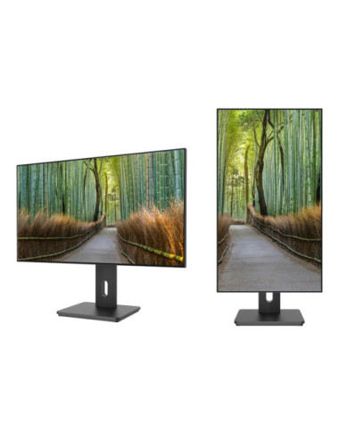 Monitor JAPANNEXT 68.5cm...
