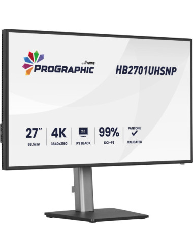 iiyama PROGRAPHIC...