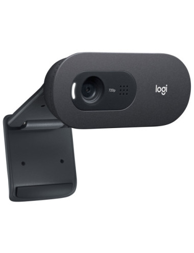 Logitech C505e