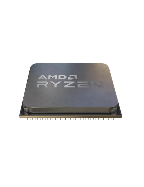 CPU|AMD|Desktop|Ryzen 5|5500|Cezanne|3600 MHz|Cores 6|16MB|Socket SAM4|65 Watts|OEM|100-000000457