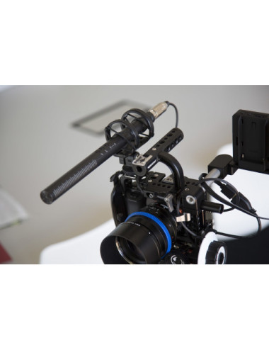 RODE NTG-4+ microphone...